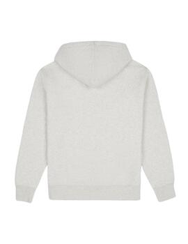 Sudadera Con Capucha Summerdale Hombre Gris