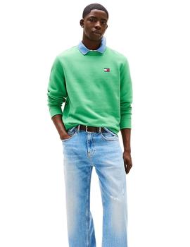 Sudadera Tommy Coastal Hombre Verde