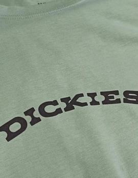 Camiseta Dickies Outdoor Egret Hombre Verde