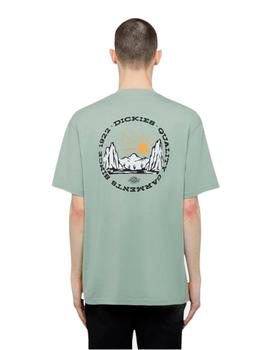 Camiseta Dickies Outdoor Egret Hombre Verde
