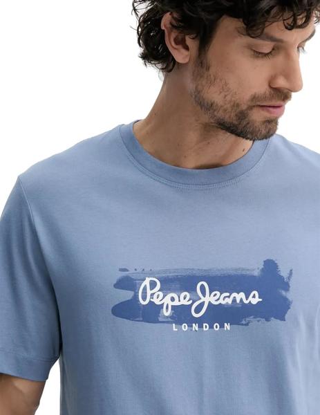 Gallery a13902 gecptdsh