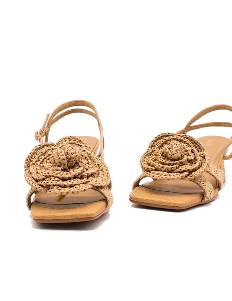 Gallery a14437 avvgldtv