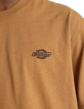Cmiseta Dickies Summerdale Hombre Marrón