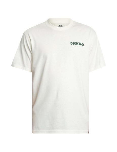 Gallery a14992 xtenygzn