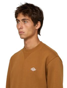 Sudadera Dickies Summerdale Hombre Marrón