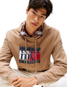 Sudadera Tommy Regular Flag Taupe Homber Beige