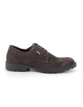 Zapatos Igi & Co Scamosc Special Hombre Marrón