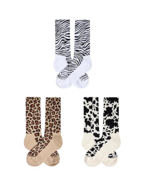 Gallery a16171 qxvqzf2c