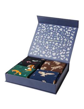 Calcetines Jimmy  Lion  Night  Collection Unisex Multicolor