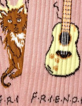 Calcetines Jimmy Lion Friends Cat Unisex Rosa